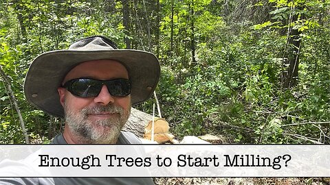 Cutting more Big Poplar Trees for Temporary Sheds and Garage Build