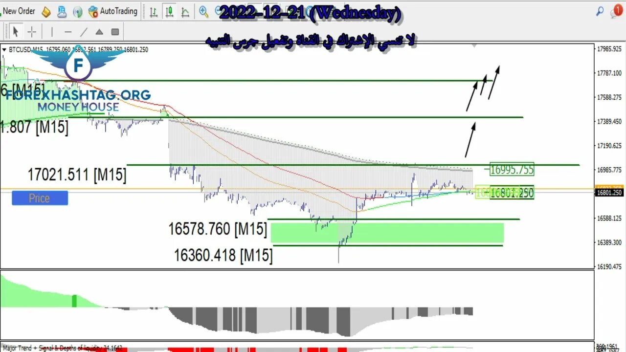 فرص تداول بيتكوين إيثريوم لايتكوين ليوم 21 ديسمبر