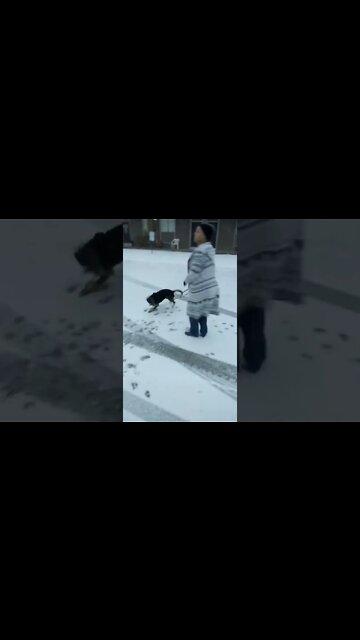 Max's first time playing in the Snow.