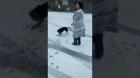 Max's first time playing in the Snow.