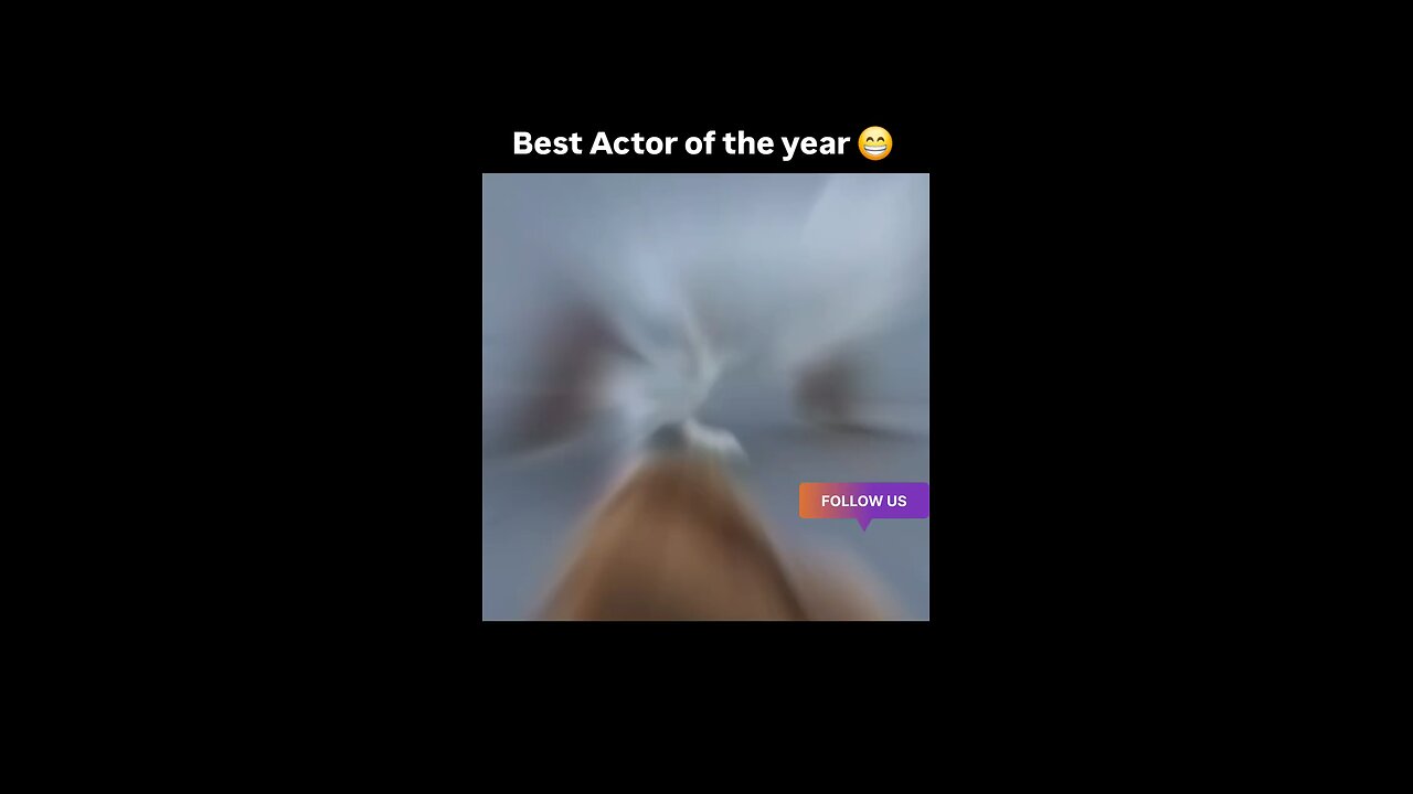 Cute video