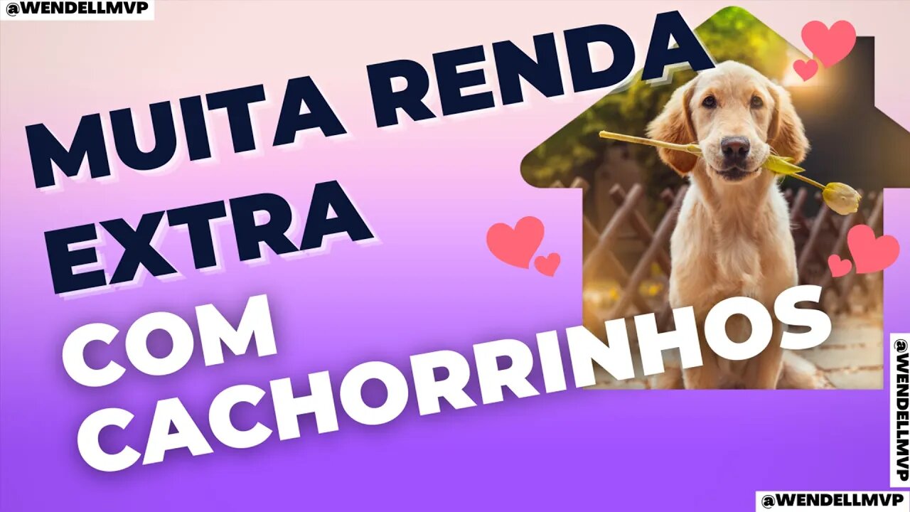 ✅ GANHE MUITO DINHEIRO [RENDA EXTRA] COM CACHORROS !! SAIBA COMO AQUI #rendaextra