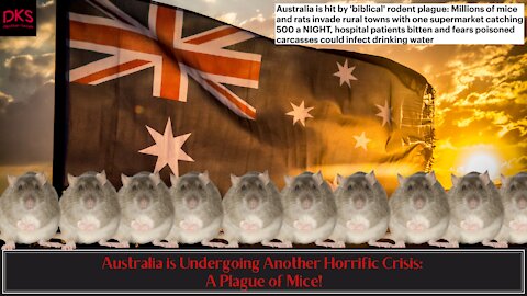 Australia is Undergoing Another Horrific Crisis: A Plague of Mice!