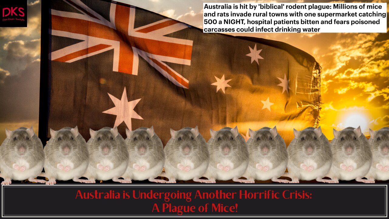 Australia is Undergoing Another Horrific Crisis: A Plague of Mice!