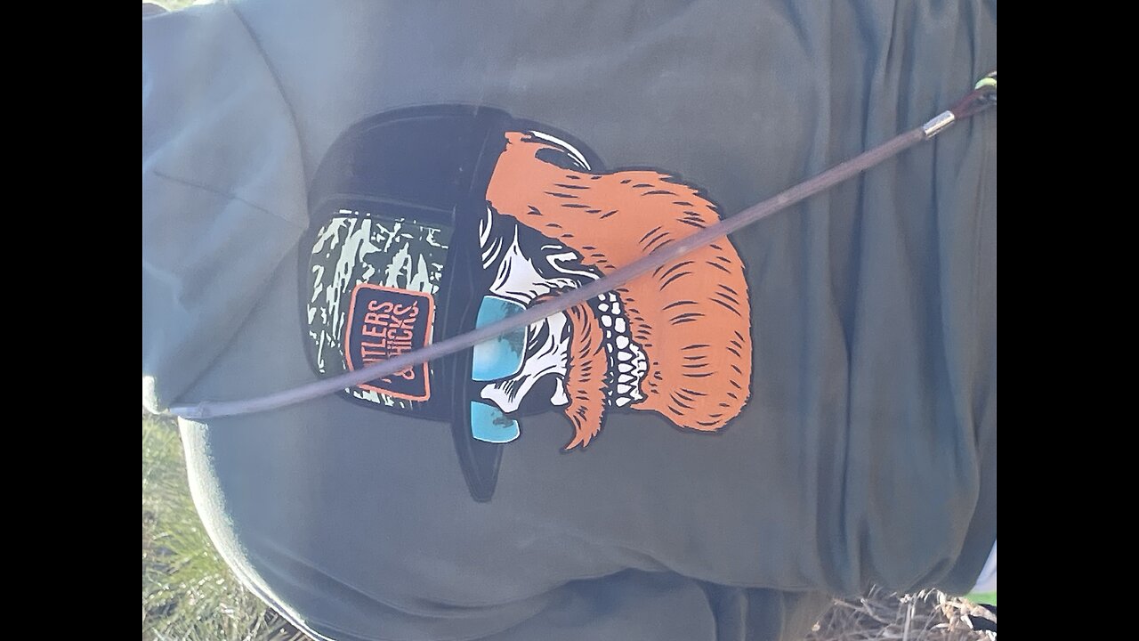 Wild hog run