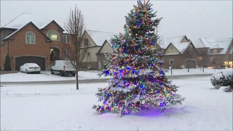 Chicagoland Snowstorm New Years Day January 1st 2022