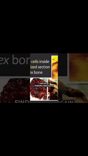 Evolutionists Are NOT Going to Like This!