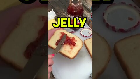 Grilled Peanut Butter and Jelly Sandwich (MUST WATCH!!)