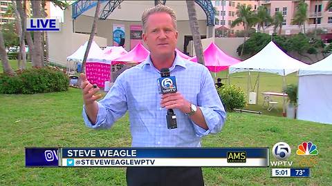 Weagle's Race For the Cure Weather
