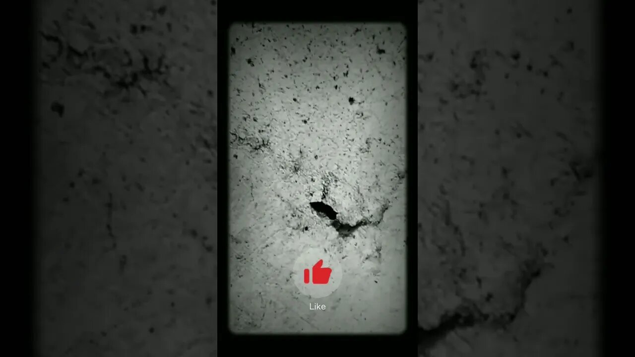 Hola, No estoy vivo