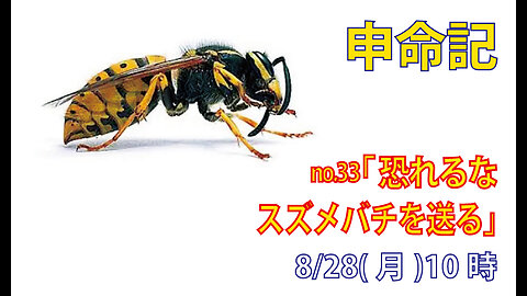 「スズメバチを送る」(申7.17-23)みことば福音教会2023.8.28(月)