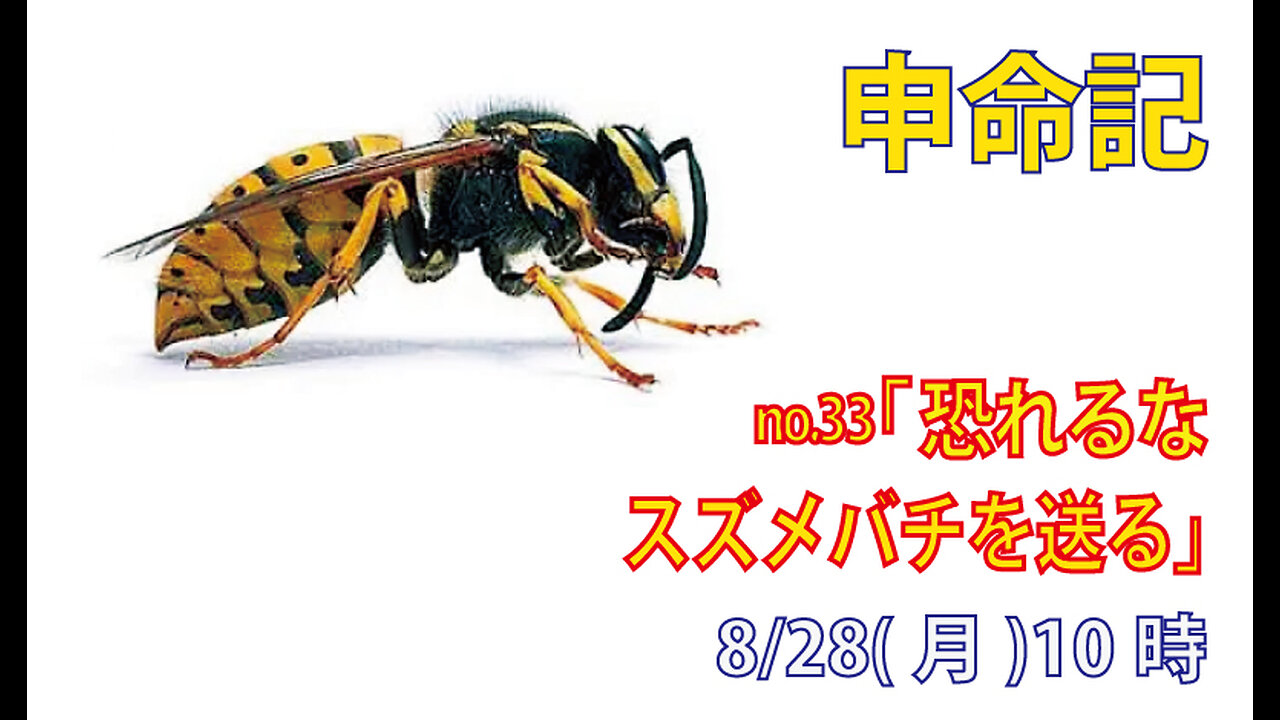 「スズメバチを送る」(申7.17-23)みことば福音教会2023.8.28(月)