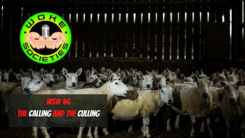 WS #46 The Calling and The Culling