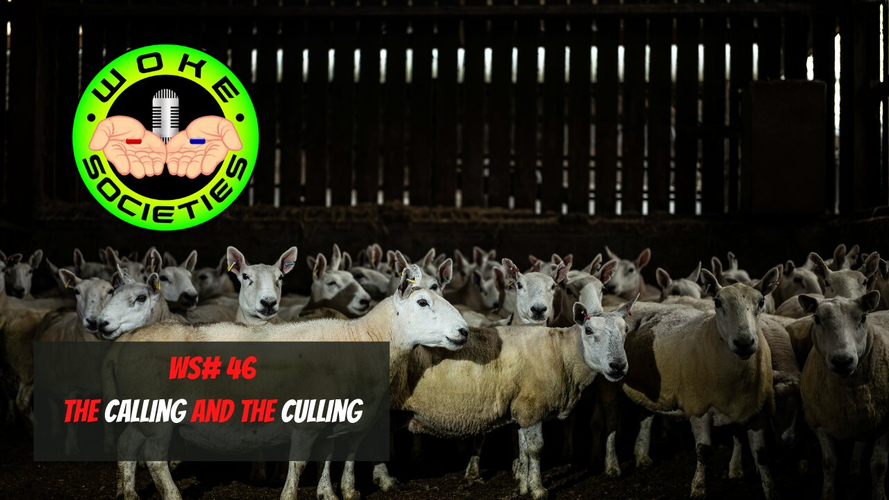 WS #46 The Calling and The Culling
