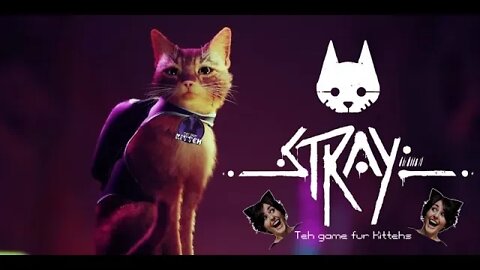 C'mon and STRAY a While! - Part 1