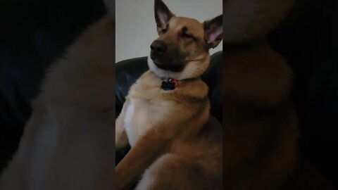 I'm not tired, you're tired - okay maybe I am tired