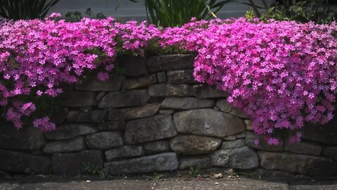 Meditation Moments S2E8