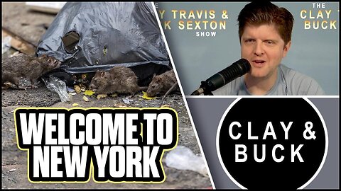 Third World NYC Can't Take Out the Trash | The Clay Travis & Buck Sexton Show