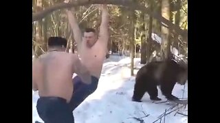 Russian boxers and their bear