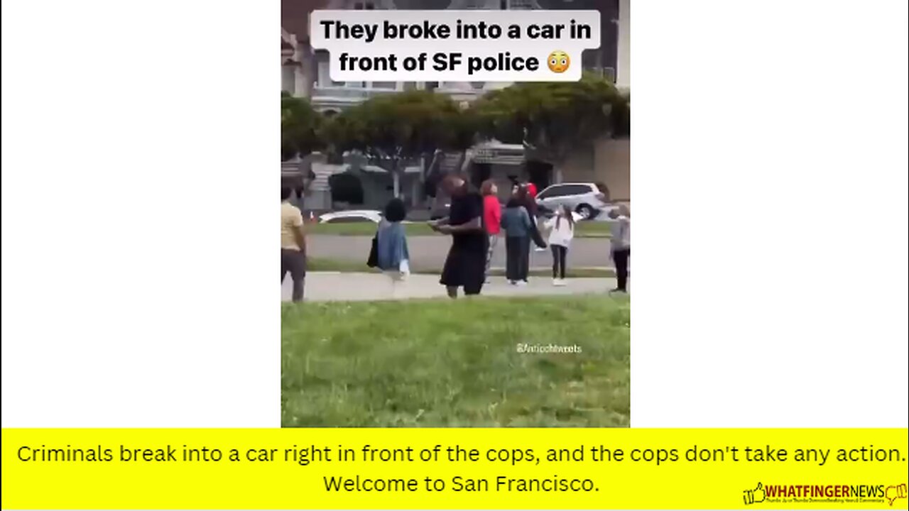 Criminals break into a car right in front of the cops, and the cops don't take any action.