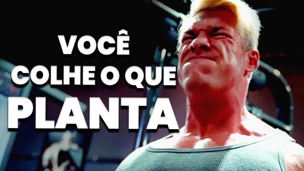 A LEI DA SEMEADURA NÃO FALHA - Motivação Bodybuilding 2022