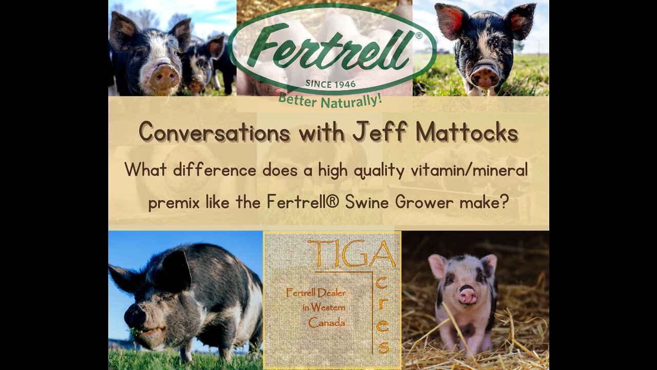 What Difference Does a High Quality Vitamin/Mineral Premix Like the Fertrell® Swine Grower Make?