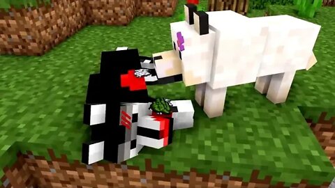 2 WOLF LIFE MOVIE Cubic Minecraft Animations All Episodes + BONUS