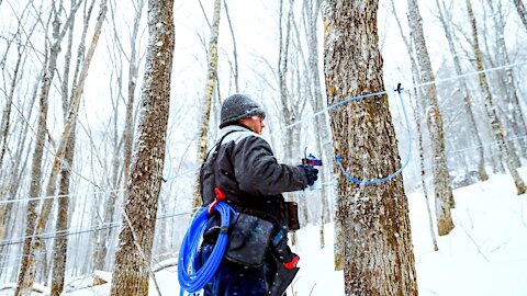 Entrevue Hélène Normandin - PPAQ - Février 2021