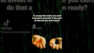 Escape the matrix