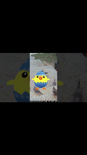 A Rude Easter Chick Steps On The Birds! #Shorts 🌷