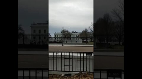 3-1-22 Nancy Drew in DC-Video 1 of 7- Around Noon- WH Area Quiet For Now