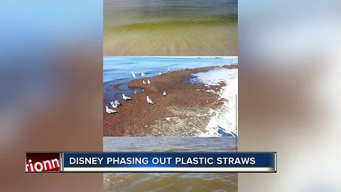 Walt Disney Company to eliminate plastic straws and more by 2019