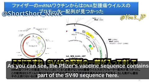 MALICIOUS! Prof. Murakami discusses cancer promoting DNA sequence found in Pfizer jabs