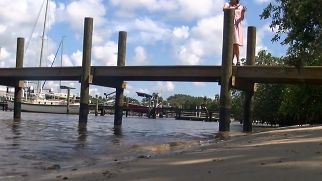 Large algae bloom on Lake Okeechobee