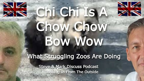Chi Chi Is A Chow Chow Bow Wow - What Struggling Zoos Are Doing