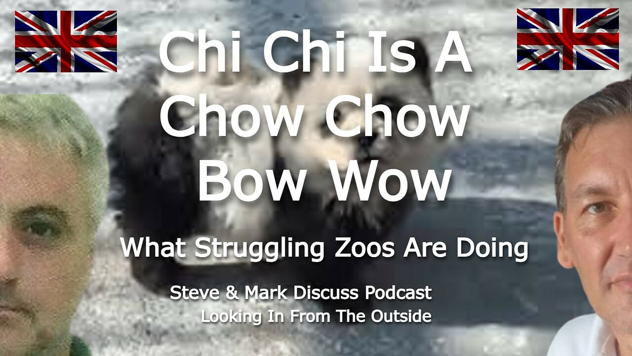 Chi Chi Is A Chow Chow Bow Wow - What Struggling Zoos Are Doing