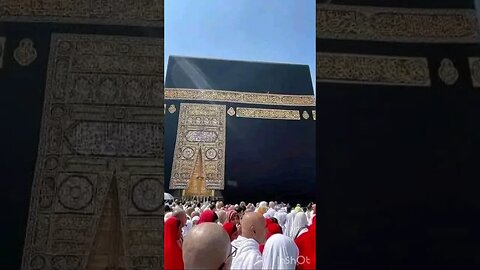 سبحان الله صوت يبكي القلوب ✅