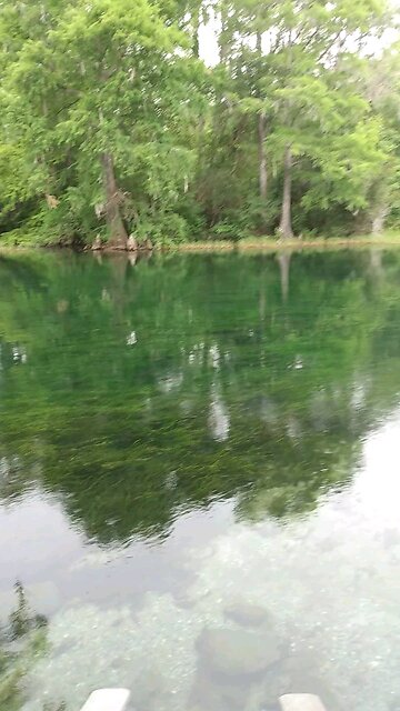 Good morning from the K.P. hole