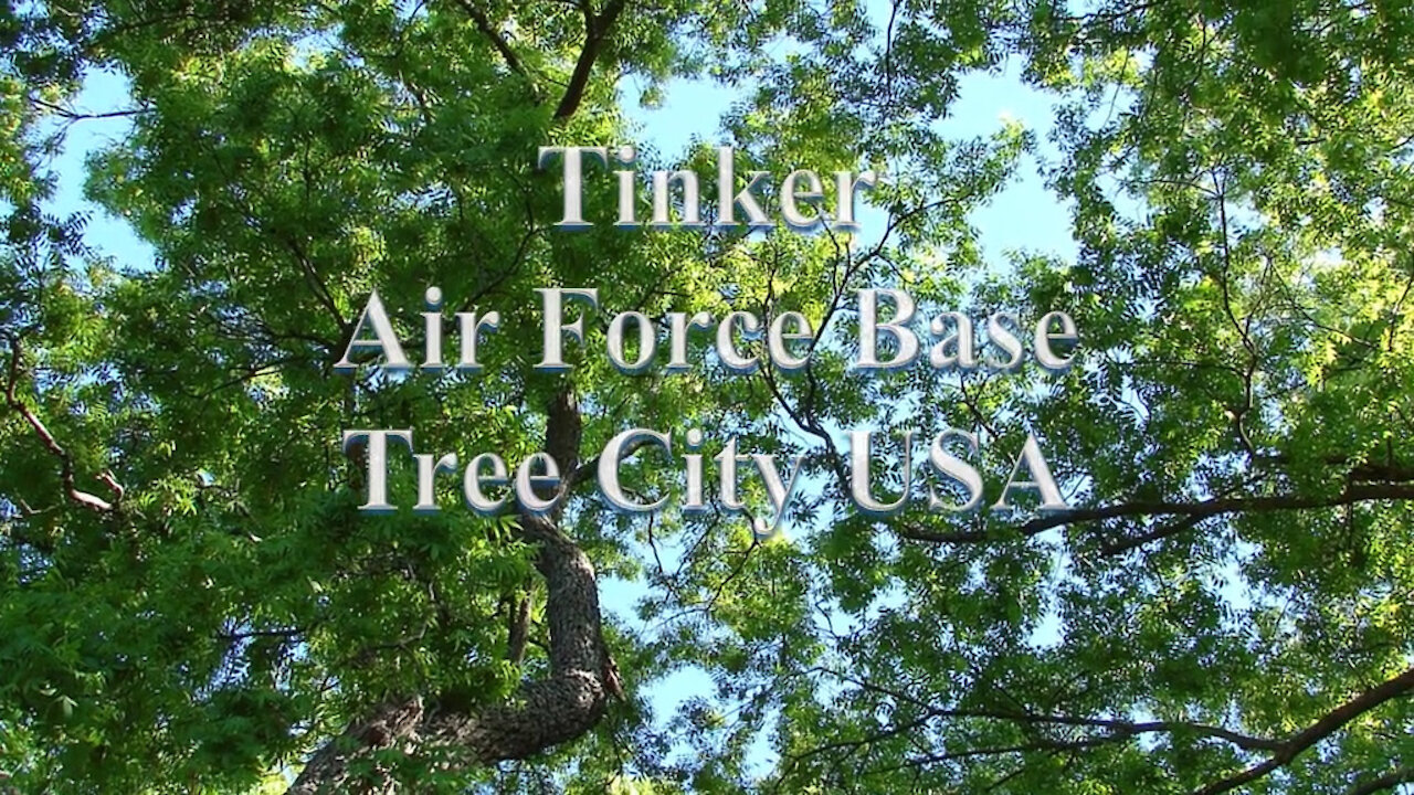 Tinker is TreeCity USA