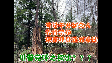 # 全媒体加拿大台 070期 川普党呼之欲出？--有感于麦肯奈尔祝贺拜登胜选