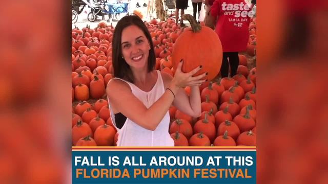 Celebrate fall at this Florida pumpkin festival in Bradenton | Taste and See Tampa Bay