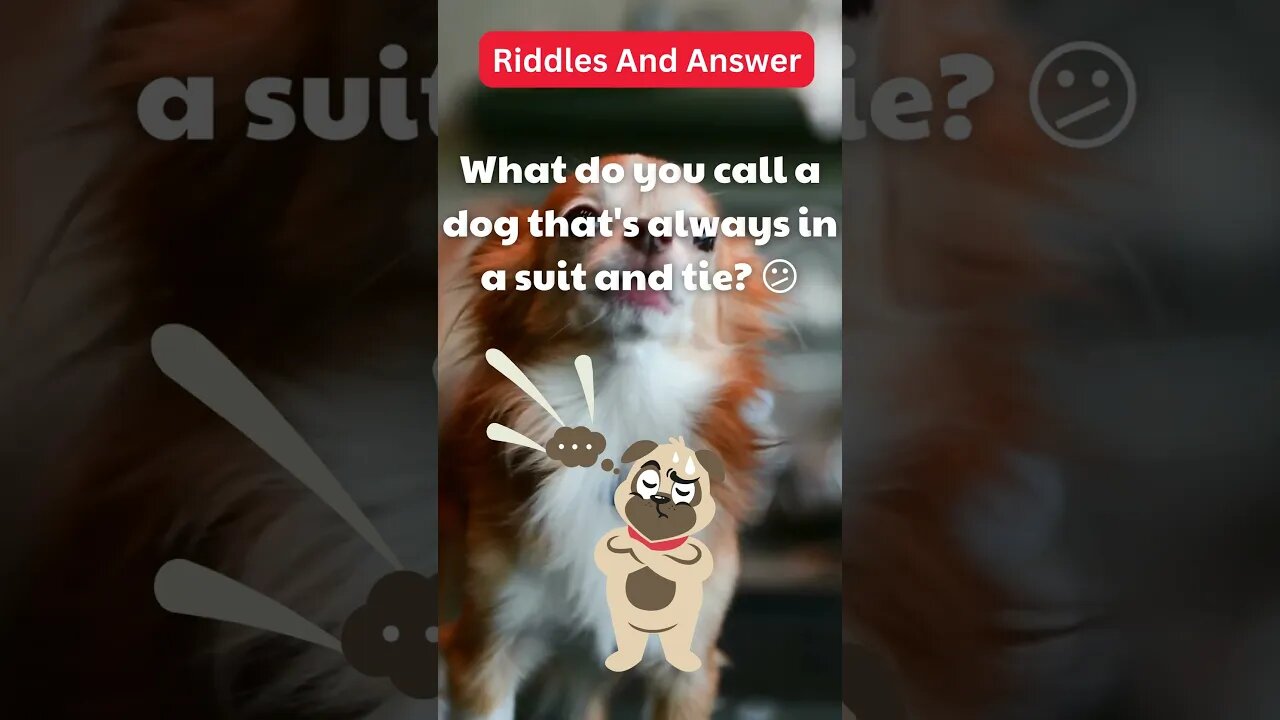 Dogs Riddle | Dogs Riddles in English | Riddles with Answer | Hard riddles | EP29 #shorts