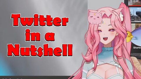@MeowMoonified - Twitter in a Nutshell #vtuber #clips