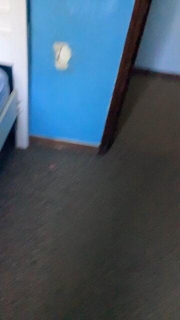 Magnus has defied me for the last time