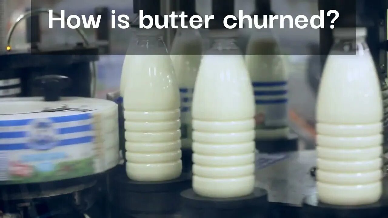 How Is butter churned? #food #foodfacts #subscribe #shorts