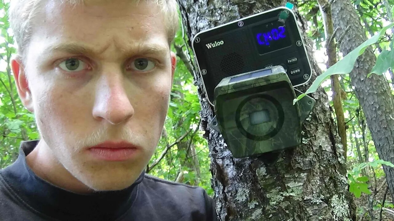 WuLoo Wireless Drive Way Alarm Review and Testing Part One
