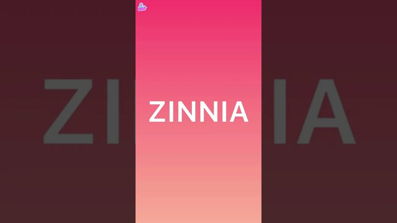 Zinnia Network and Smart contracts