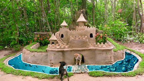 AMAZING house and pool FOR PICKED UP AND ABANDONED PUPPIES deep in the jungle (BY HAN