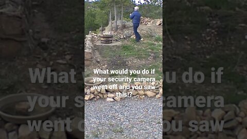 What would you do?? #shorts #trespasser #mountains