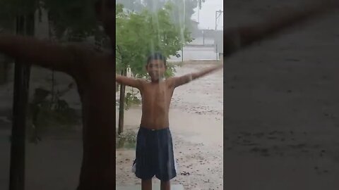 Toby and Milo Playing in the Rain